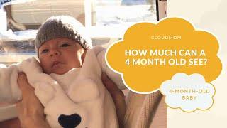 4-Month-Old Baby How Much Can a 4 Month Old See?  CloudMom