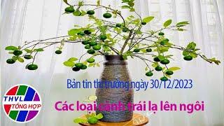 Bản tin thị trường 30122023 5 cành quả lạ sốt chợ mạng năm 2023