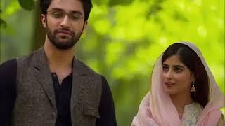 O matti k parindey Hum Tv Drama Yaqeen Ka Safar   Richa Sharma