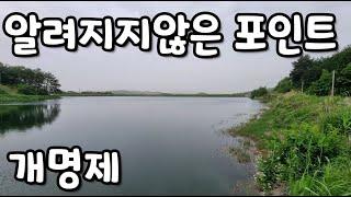 고흥알려지지않은 포인트 개명제