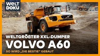 VOLVO A60 - Der weltgrößte knickgelenkte Muldenkipper - So wird der XXL-Dumper gebaut  WELT HD DOKU