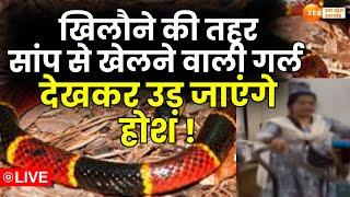 Snake Girl Live  सांप वाली वायरल गर्ल खिलौने की तरह सांप से खेलने वाली अजिता को देखिए 