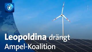 Energiewende Leopoldina fordert mehr Ehrgeiz beim Klimaschutz