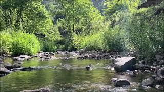 Relaxing soft water sounds the murmur of the stream.. Bird chirping.. For meditation and sleep