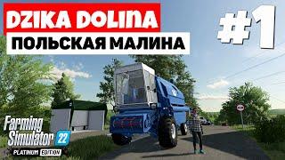 Farming Simulator 22 Dzika Dolina - Все кроме комбайна  #1
