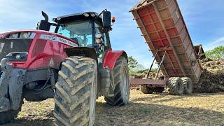 Last Of The Cows Out Mucking Out Sheds