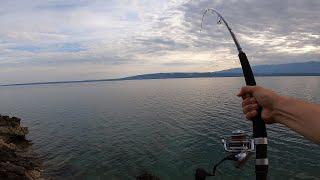 Crazy Fight With A Monster Fish  Fishing Life  Island of Pag Croatia