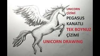 TEK BOYNUZ UNICORN ÇİZİMİ  PEGASUS KANATLI AT ÇİZİMİ  ADIM ADIM TEK BOYNUZ ÇİZİMİ