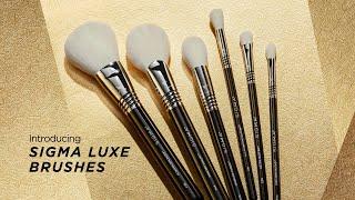 Introducing our NEW Luxe Brushes
