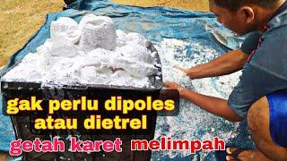 Gak perlu dipoles atau dietrel ‼️dijamin hasil getah karet melimpah