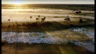 10 Hours Of Relaxing Planet Earth II Grassland Sounds  Earth Unplugged