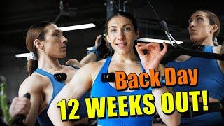 Back Day - 12 Weeks out Mr Olympia