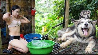 Lush rice fields are tended by a girl bathing and cooking after a day of work