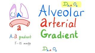 Alveolar-Arterial Gradient  A-a Gradient  Respiratory Physiology & Pathology..Pulmonary Medicine