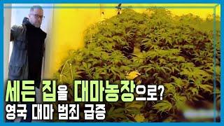 영국 대마의 습격 KBS_371회_2024.09.14.방송