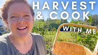 HARVEST & Cook With Me  FARM TO TABLE