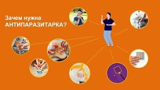 Зачем нужна антипаразитарка? Готовые решения