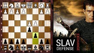 Cara Slav Defense Menghancurkan Queens Gambit