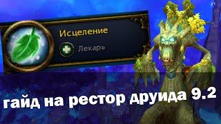 Гайд на Рестор Друида  Друид хилл 9.2 Гробница Предвечных  World of Warcraft Shadowlands