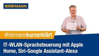 IT WLAN Sprachsteuerung mit Apple Home Siri Google Assistant Alexa  Hörmann