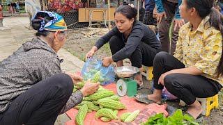 My ex-husband continues to harass me and my children. Harvest bitter melon to sell