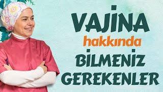 Vajina Hakkında Bilmeniz Gerekenler