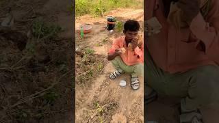 कदर किसी को नहीं  #dailyvlog #shortvideo #youtubeshorts #travelvlog #viralvideos #plantation