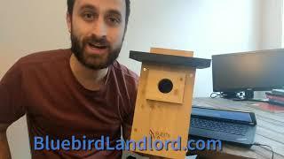 Proper Entrance Hole Size for Bluebird Houses