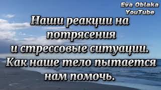 Наши реакции на потрясения и стрессовые ситуации. Как наше тело пытается нам помочь.  Примаченко О.