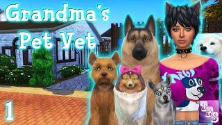  The Sims 4 Grandmas Pet Vet   LIVE STREAM  Taking Over  Part 1