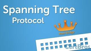 Spanning Tree Protocol Explained  Step by Step
