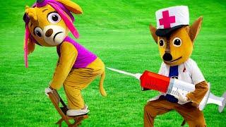 PAW Patrol Ultimate Rescue Stop Chase  Dont Hurt Skye  Paw Patrol Funny Action In Real Life