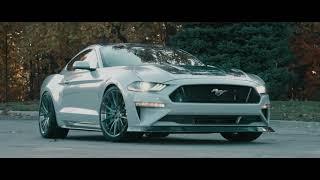 2019 Mustang Lithium Battery Electric Performance by Webasto