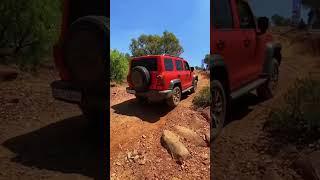 GWM Tank 300 Off-roading at the SA launch