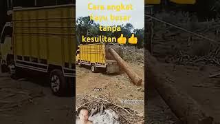 cara angkut kayu besar dengan mudah