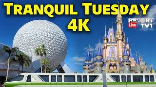 4K Live Tranquil Tuesday - Monorail Park Hopping - Magic Kingdom & Epcot - Walt Disney World