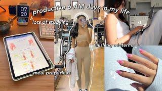 STUDY VLOG  6 AM productive days in my life  final exam prep staying motivated & new recipes