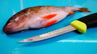 Разделка рыбы в УДОВОЛЬСТВИЕ? Нож Morakniv Fishing Comfort Scaler 098