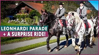 Equestrian Goes to a Leonhardi Traditional Bavarian Parade with Horses