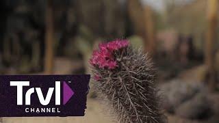 3 Scottsdale Spots for Nature Lovers  Travel Channel