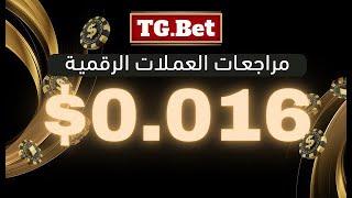 TG Bet  presale TGB مراجعة العملة الرقمية الجديدة