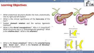 Anatomy of the Foregut