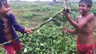 Spear Hunting - Amazing Boys Makes Bamboo Spear for Catching Frog While Raining - Catch n Cook