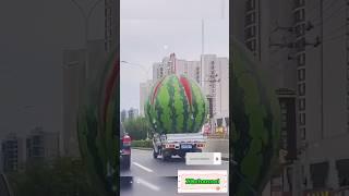 Huge watermelon#watermelon art#Viral#youtubeshorts #ZQchannel