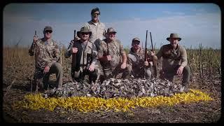 Argentina Dove Hunting 2022. Awesome hunt.