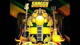 Shaggy - Bridges feat. Chronixx