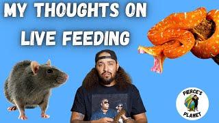 My Opinion On Live Feedings Are They Ethical?