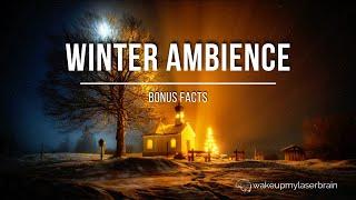  Relaxing Christmas Church Falling Snow and Chimes Sounds   10 Hours  Bonus Facts