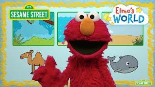 Sesame Street Elmo Explores Animal Habitats  Elmo’s World