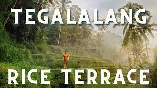 Visit the Bali Rice Fields The Tegalalang Rice Terraces